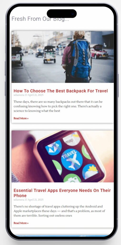 Close up of an iphone displaying the Travel Bug Blog web page.